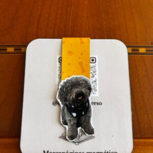 WhatsApp Image 2026-02-16 at 15.49.23 (13) Marcapáginas magnético Personalizado.